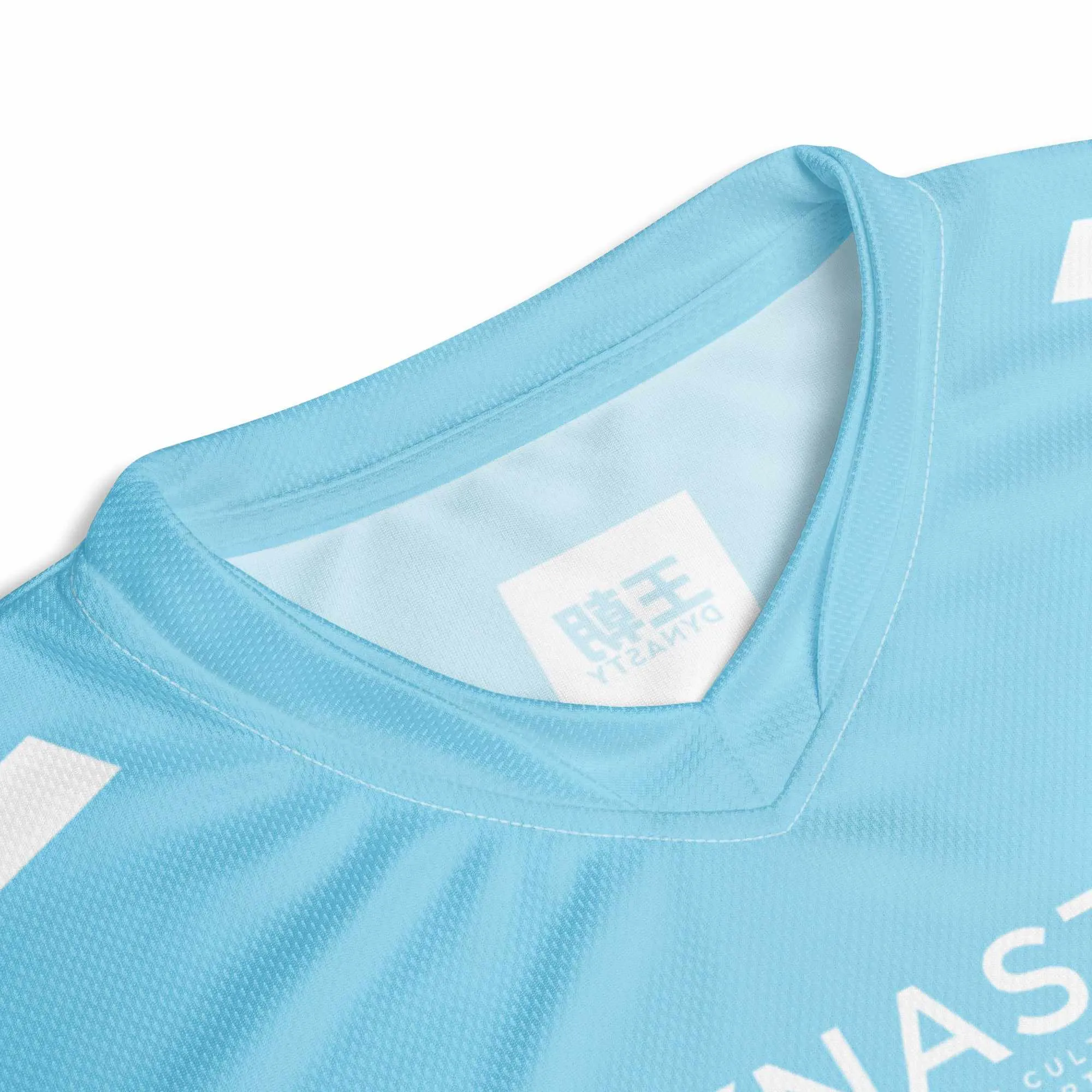 Dynasty Combat Sports Training Shirt (Sky Blue)