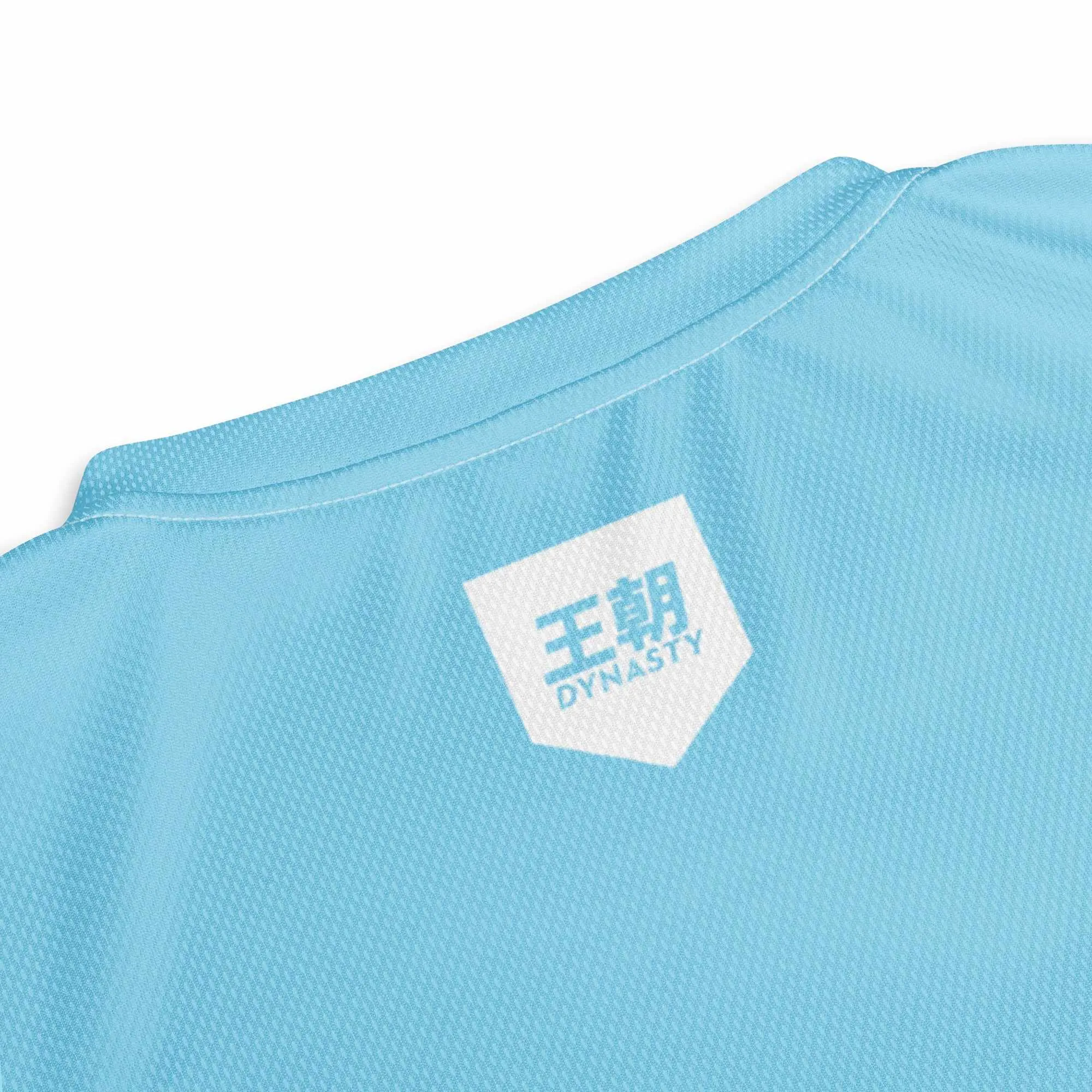 Dynasty Combat Sports Training Shirt (Sky Blue)