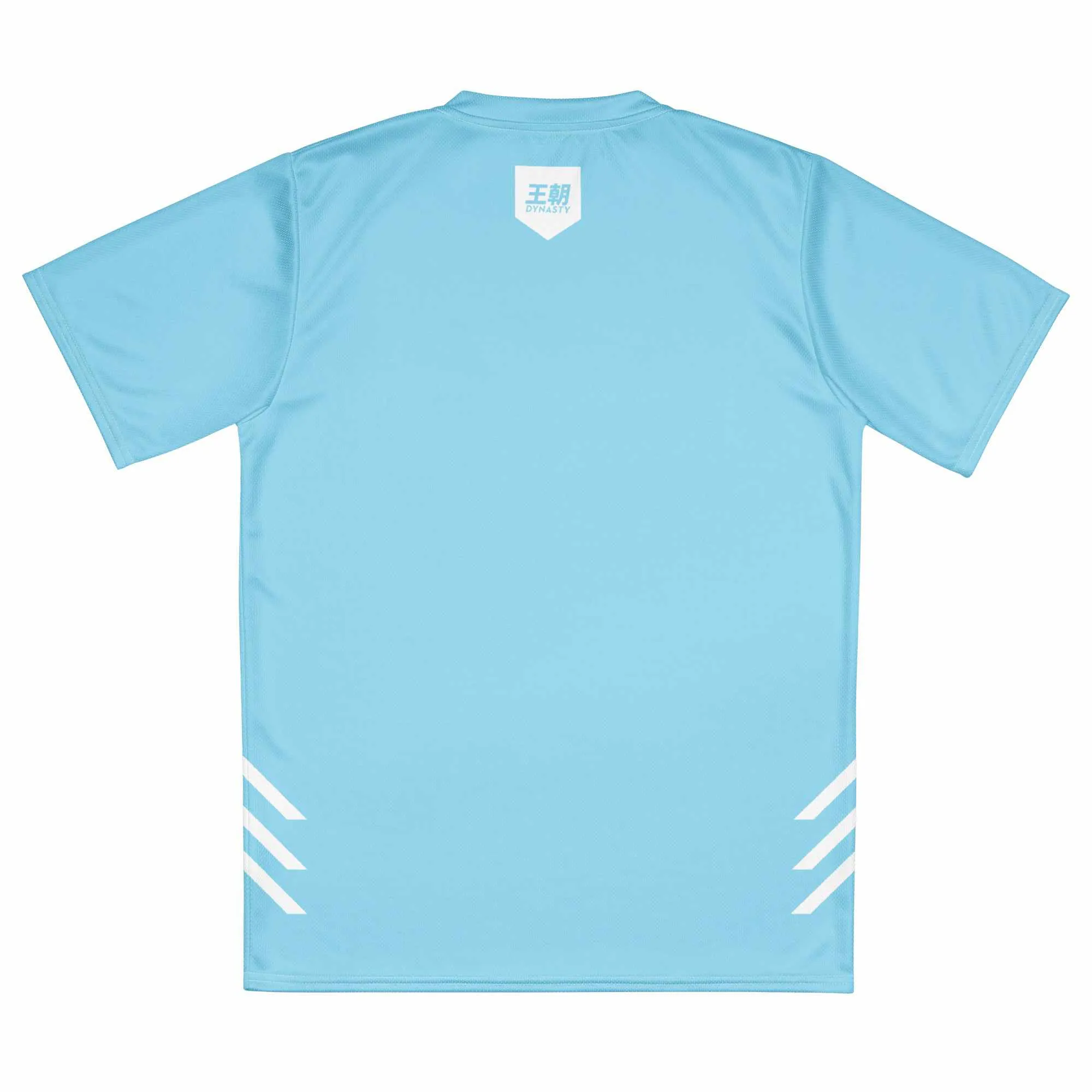 Dynasty Combat Sports Training Shirt (Sky Blue)