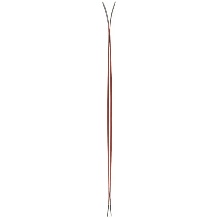Enforcer 94 Skis (2023)