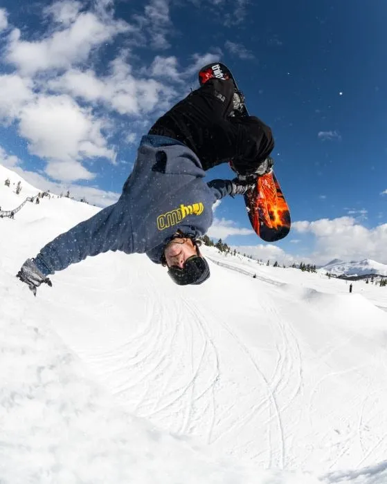 Lib Tech Dynamo Snowboard 2025
