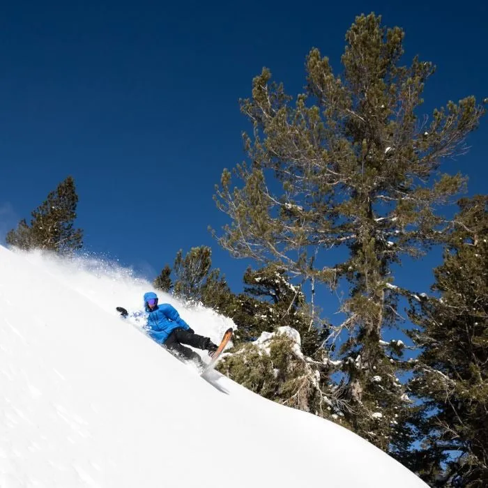 Lib Tech Dynamo Snowboard 2025