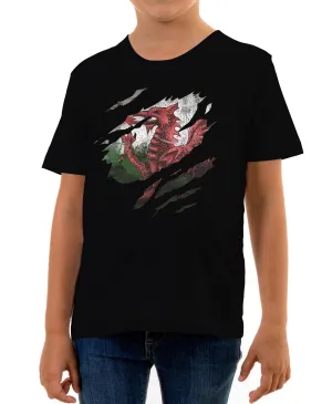 Reality Glitch Torn Wales Flag Kids T-Shirt