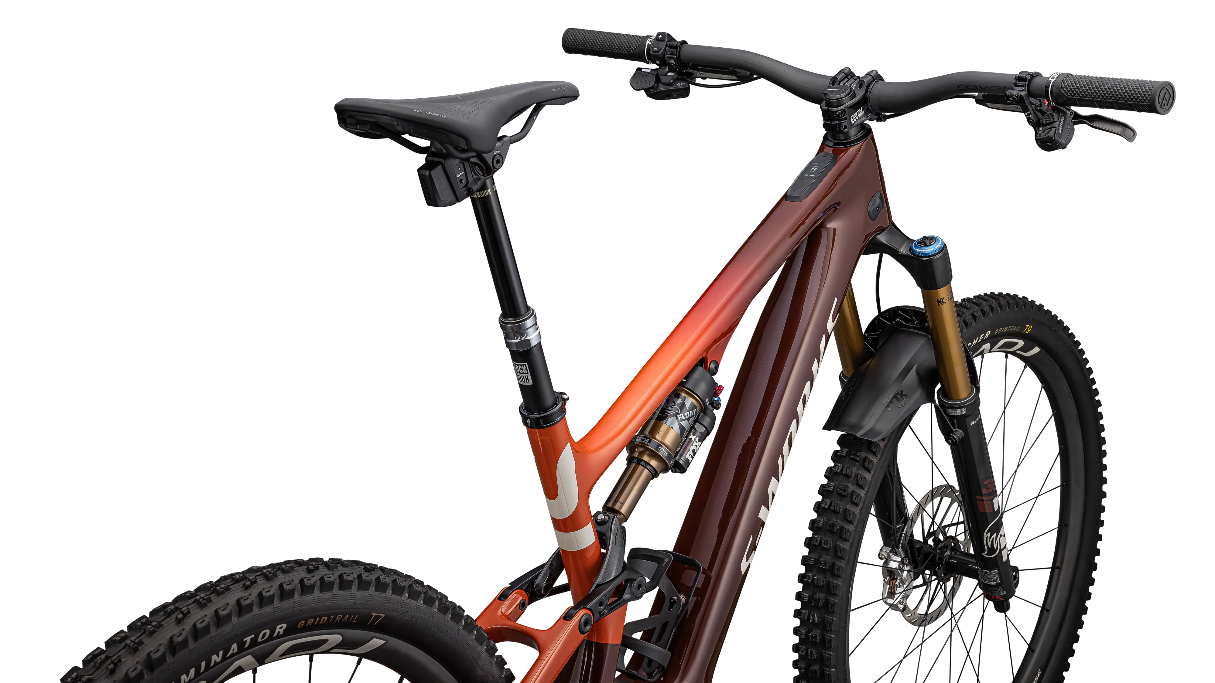 S-Works Turbo Levo SL Carbon