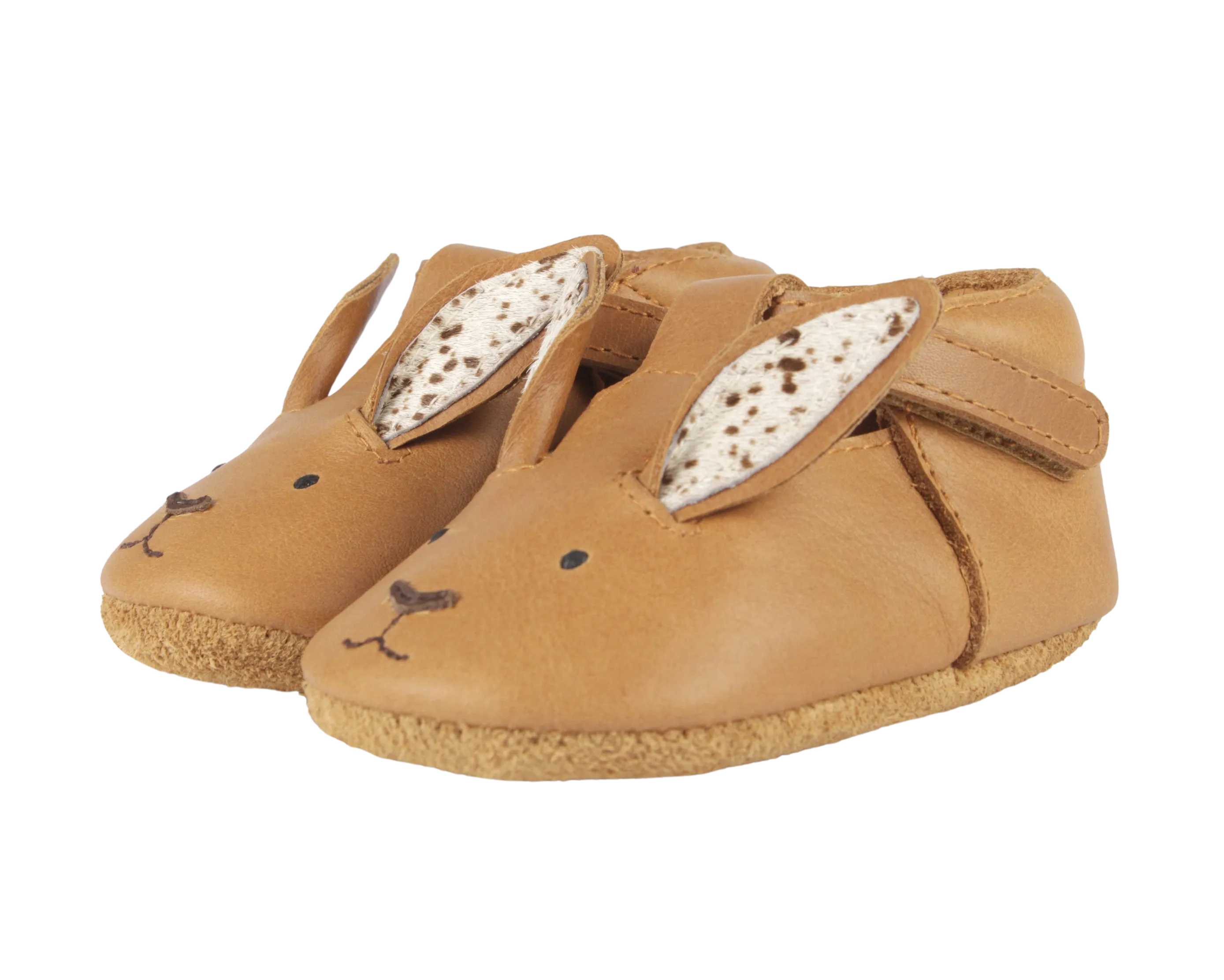 Spark Exclusive| Hare