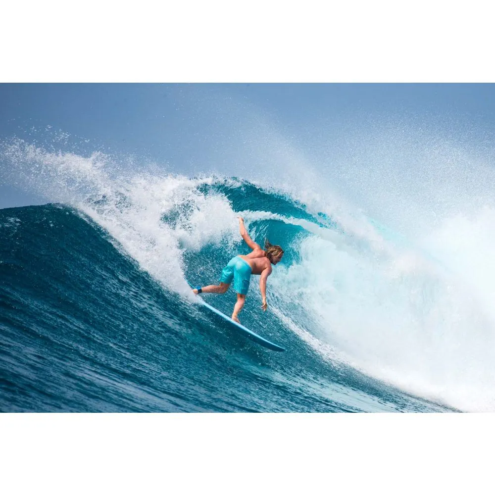 TORQ TET MOD FISH 6'6 WHITE