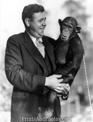 Yankees Babe Ruth & Chimp  5376